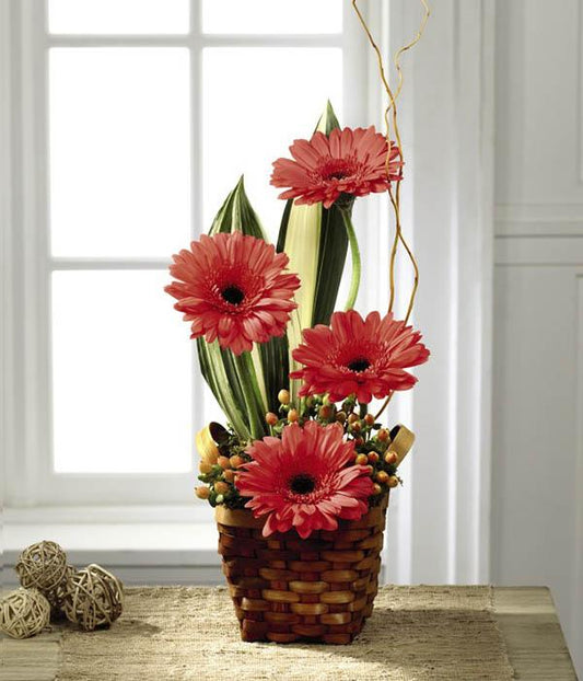 Coral gerbera daisies mingle with coral roses, perfectly accented by an artist's hand with peach hypericum berries, tropical leaves, and curly willow tips arranged beautifully in a dark stained woodchip basket.