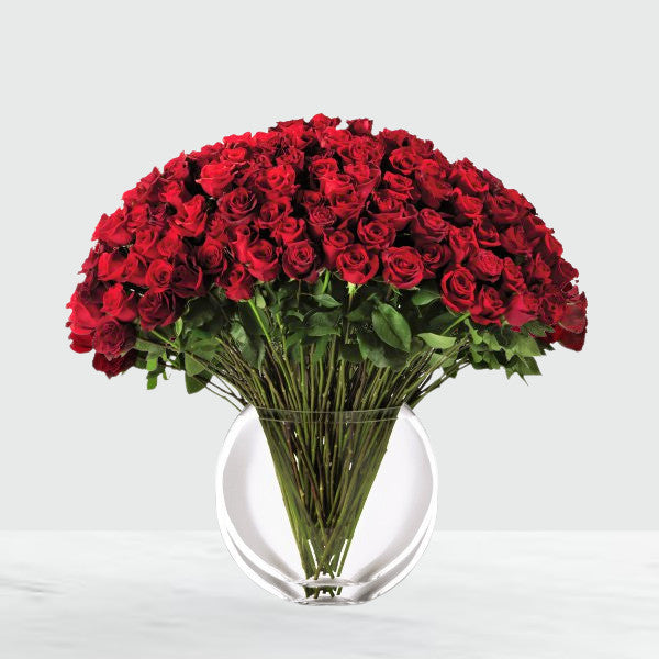 100 stems of our 24-inch premium long-stemmed red roses. Situated in a sophisticated clear glass 13-inch pillow vase